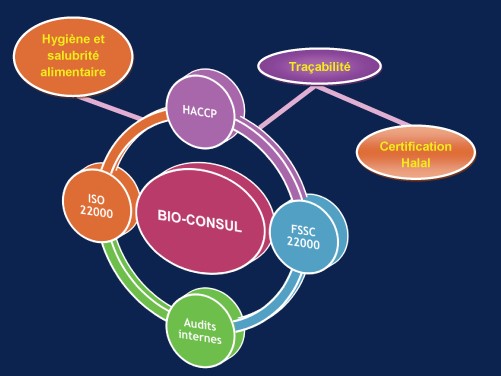 Bio Consul