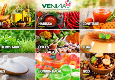 VENIZIA INC.